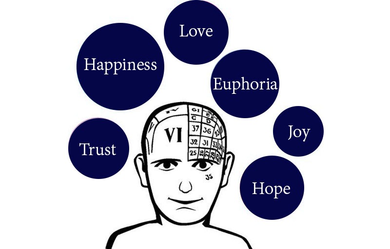 Emotional Intelligence